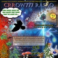 Crrow777 Radio