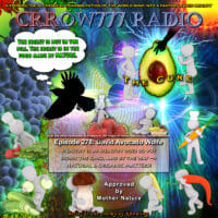 Crrow777 Radio