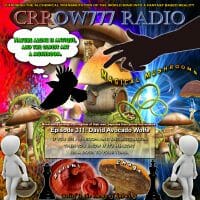 Crrow777 Radio