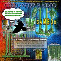 Crrow777 Radio