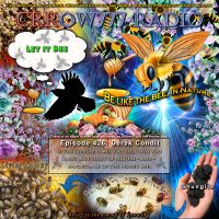 Crrow777 Radio