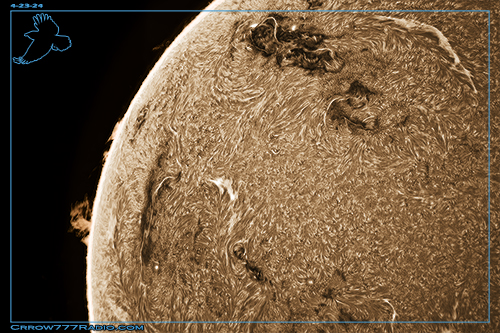 16-ThumLimbProms-4-23-24